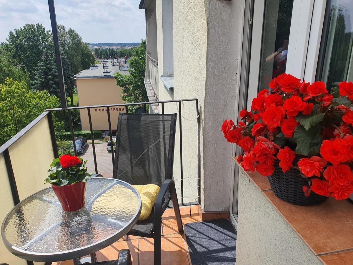 Apartment Biala Centrum